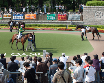 Tokyo Racecourse Fuchu