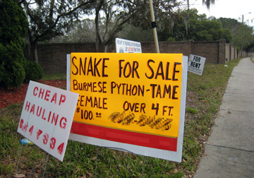 Snake for Sale sign