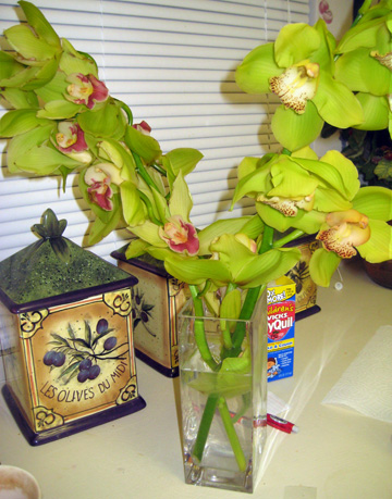 Vera Wang signature orchids